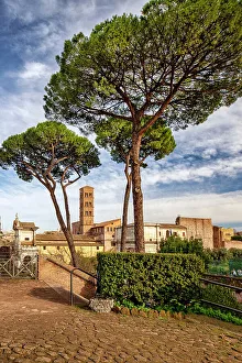 Roman Prints: Italy, Rome, Colosseum Archeological Park