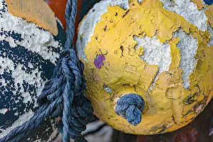 Décor Prints: Still life of marine floating ball