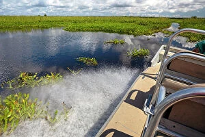 Images Dated 8th March 2021: Louisiana, Louisiana's Swamp, Airboat cruising the wetland fields
