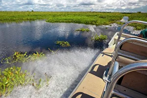 Deep South Prints: Louisiana, Louisiana's Swamp, Airboat cruising the wetland fields