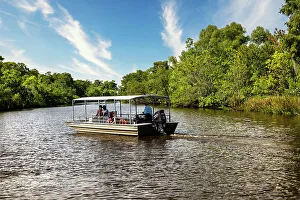 Deep South Prints: Louisiana, Louisiana's Swamp, Tour boat