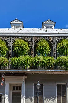 Images Dated 16th November 2021: Louisiana, New Orleans, Historic homes in the French Quarter