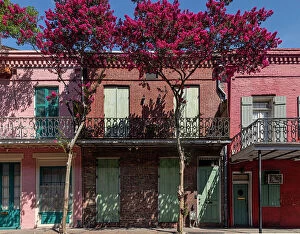 Images Dated 16th November 2021: Louisiana, New Orleans, Historic homes in the French Quarter