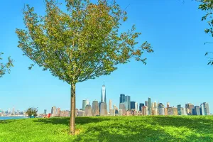Big City Prints: Lower Manhattan seen from Liberty Park in Jersey City, New Jersey