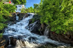 Tree Prints: Maine, Camden, Waterfall into Camden Harbor