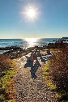 Trail Prints: Maine, Ogunquit, Benches along Marginal Way Trail