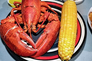 Images Dated 9th August 2020: Maine, Trenton, Fresh Cooked Lobster Displayed