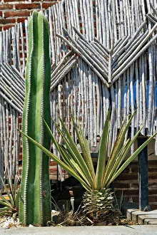 Entryway Prints: Mexico, Baja California Sur, Todos Santos street scene