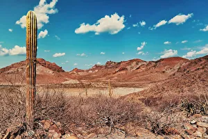 Mexico, La Paz, Baja California Sur, Desert Landscape Scene