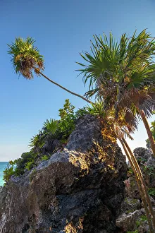 Sunny Prints: Mexico, Quintana Roo, Tulum, Rocky cliff and vegetation at Mayan ruins