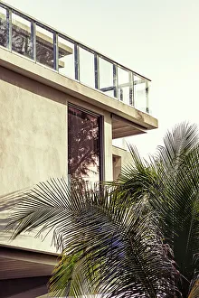 Modern Prints: Modern building with palm trees