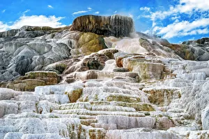 Spring Prints: Montana, Yellowstone National Park