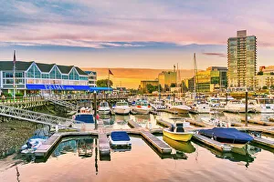 Harbor Prints: New England, Connecticut, Stamford, marina