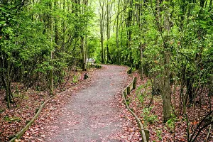 Walk Way Prints: New Jersey, Morris County, Great Swamp National Wildlife Refuge