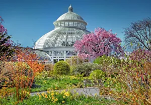 Spring Prints: New York, Bronx, NY Botanical Garden, Enid A. Haupt Conservatory