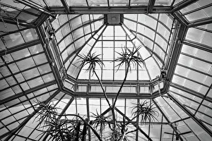 New York, Bronx, NY Botanical Garden, Enid A. Haupt Conservatory, Deserts of the Americas Gallery