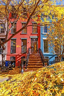 Inner City Prints: New York City, Brooklyn, Fort Greene, brownstones, exterior, fall