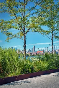 Rm311 Prints: New York City, Brooklyn, Midtown Skyline from Domino Park