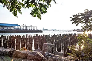 Brooklyn Prints: New York City, Brooklyn, Pilings viewed from Pier 1 Salt Marsh at Brooklyn Bridge Park