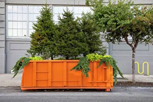 New York City, Brooklyn, Sunset Park neighborhood, Industry City, historic intermodal shipping, warehousing, and manufacturing complex, repurposed dumpster with trees