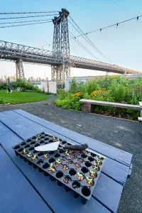 Spring Prints: New York City, Brooklyn, Williamsburg, Havemeyer Park