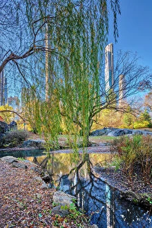 Images Dated 23rd November 2020: New York City, Central Park, billionaire's row skyline reflected on Central Park's the pond