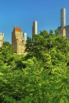 Images Dated 5th December 2023: New York City, Central Park view from Hallett Nature Sanctuary