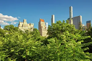 Tree Prints: New York City, Central Park view from Hallett Nature Sanctuary