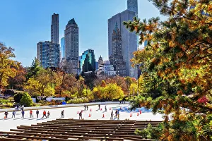 Foliage Prints: New York City, Central Park, Wollman Rink