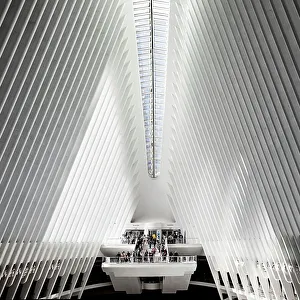 Lower Manhattan Prints: New York City, Lower Manhattan