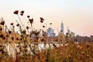 Freedom Tower Prints: New York City, Lower Manhattan Skyline from Long Island City South Park