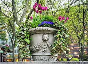 New York City, Manhattan, Bryant Park, flower planter