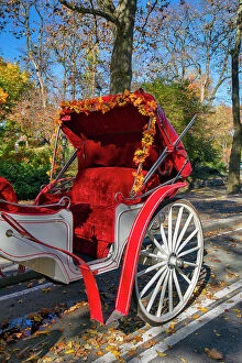 Images Dated 23rd November 2020: New York City, Manhattan, Central Park Horse-drawn Carriage at Central Park