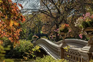 New York City, Manhattan, Central Park, Bow Bridge