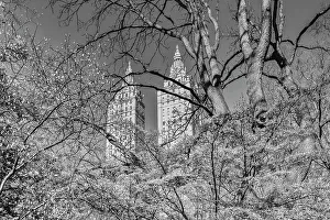 New York City, Manhattan, Central Park Scene with San Remo Towers