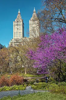New York City, Manhattan, Central Park Scene with San Remo Towers