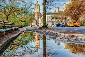 Tree Prints: New York City, Manhattan, Central Park West, Scene with San Remo Towers