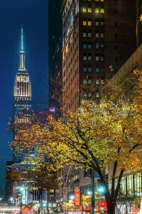 New York City, Manhattan, Empire State Building at night