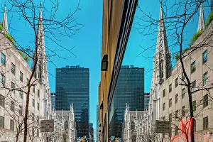 Tree Prints: New York City, Manhattan Midtown Manhattan Scene with St. Patrick's Cathedral