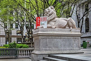 Images Dated 11th May 2020: New York City, Manhattan, NY Public Library, Patience Lion Statue