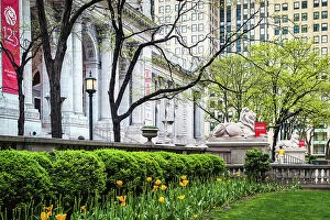 Images Dated 11th May 2020: New York City, Manhattan, NY Public Library, Patience and Fortitude Lion Statues