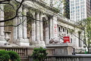 Images Dated 11th May 2020: New York City, Manhattan, NY Public Library, Patience Lion Statue
