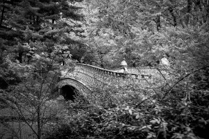 Tree Prints: New York City, Manhattan, Pine Bank Bridge