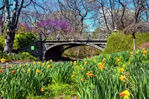 New York City, Manhattan, Springtime Scene at Central Park