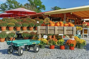 Long Island Prints: New York, Long Island, fruit and vegetable stand along road