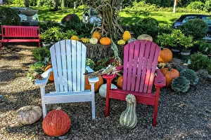 Laura Zeid Prints: New York, Long Island, Montauk Point, Nursery on Montauk Highway