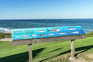 Laura Zeid Prints: New York, Long Island, Montauk Point State Park