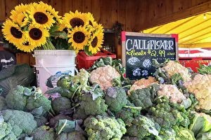 Flower Prints: New York, Long Island, North Fork, farmstand along road