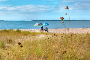 Summer Prints: New York, Long Island, Sag Harbor, Long Beach, beach scene