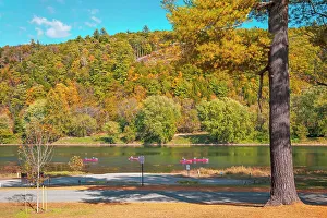 Tree Prints: New York, Minisink Ford, Delaware river canoeing and autumn colors